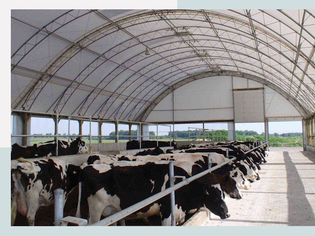 Тентовые коровники в Ачинске